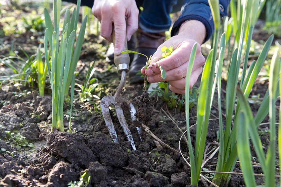 10 small jobs to do right now – even if they're a bit late