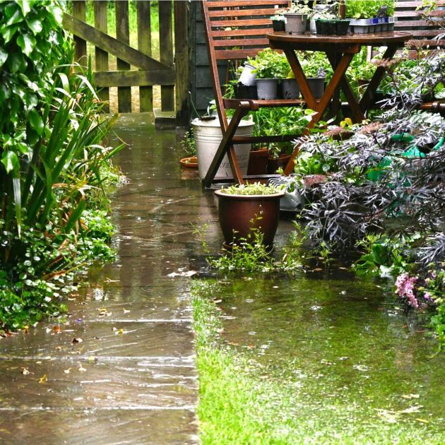  ALDI Just Dropped the Prettiest $10 Rain Chains — Here Are 6 Dupes If Your Store Is Already Sold Out 