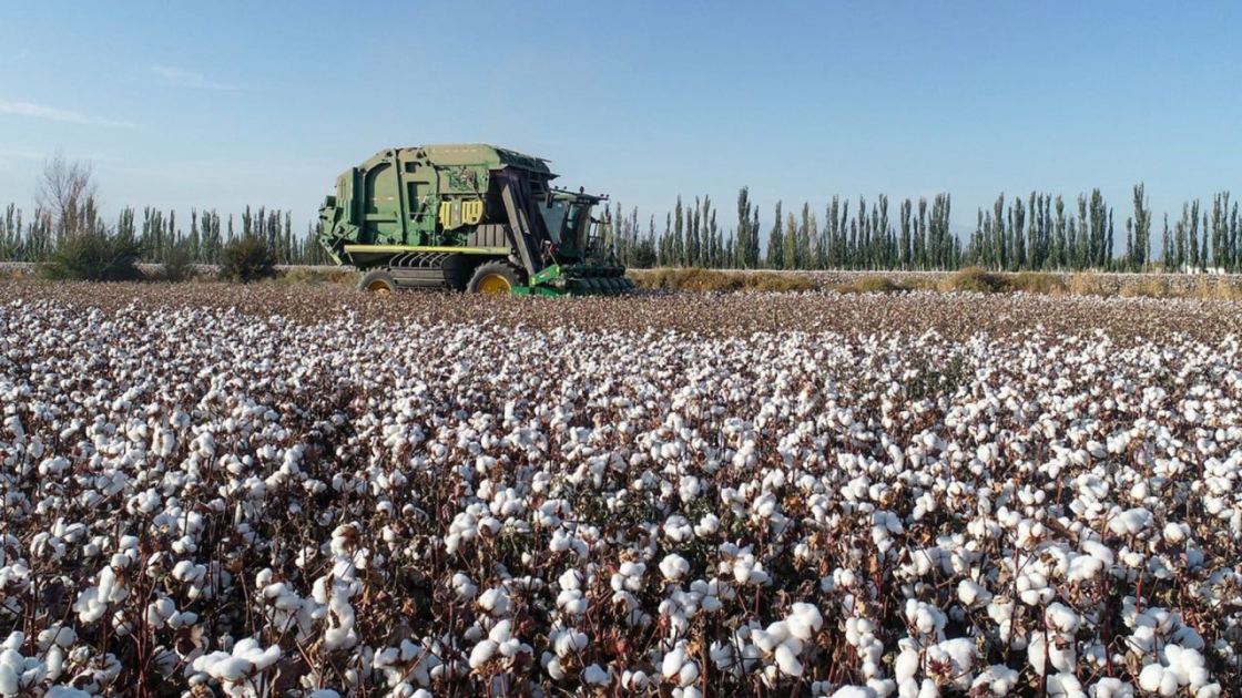 US adds 43 Chinese companies to Uygur forced labour blacklist