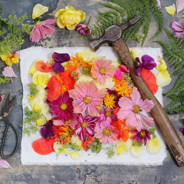  Flower Hammering Is the Latest Nature Craft That Turns Garden Blooms Into Beautiful Prints – and It’s So Easy to Try 