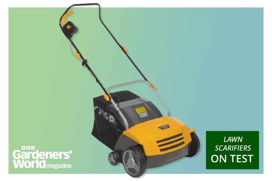 The best lawn scarifiers to buy in 2026, as tested by our reviews experts