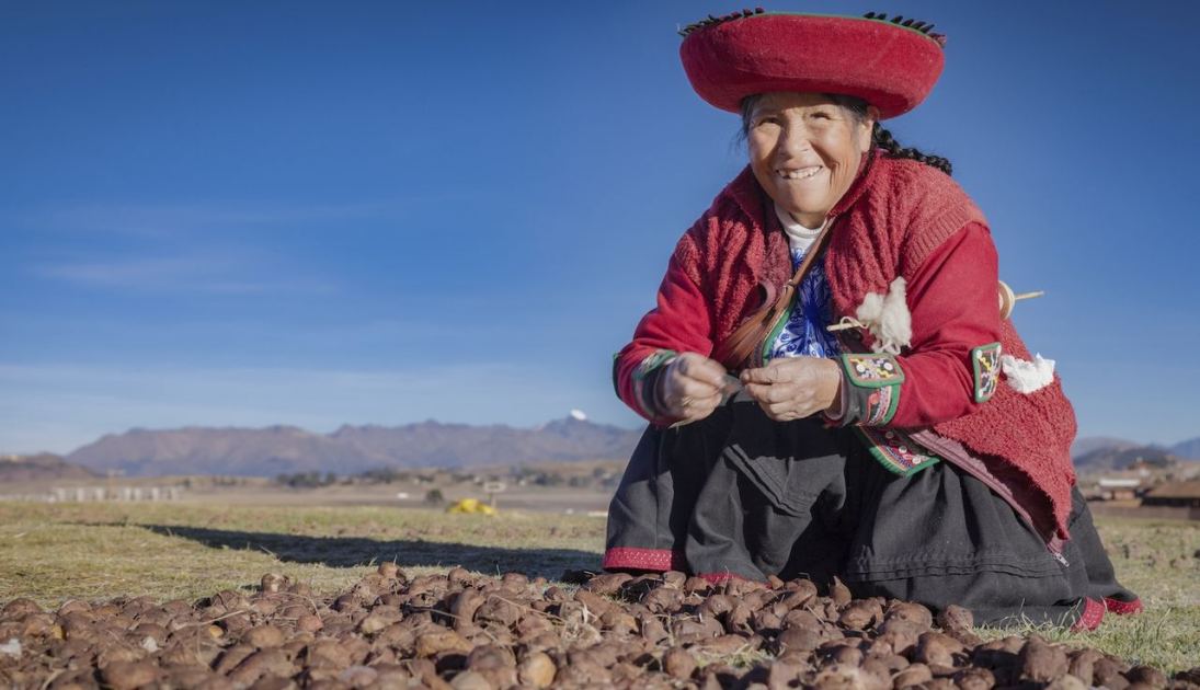  Thanks to natural selection, Indigenous Andeans may digest potatoes better than anyone else in the world, study finds 