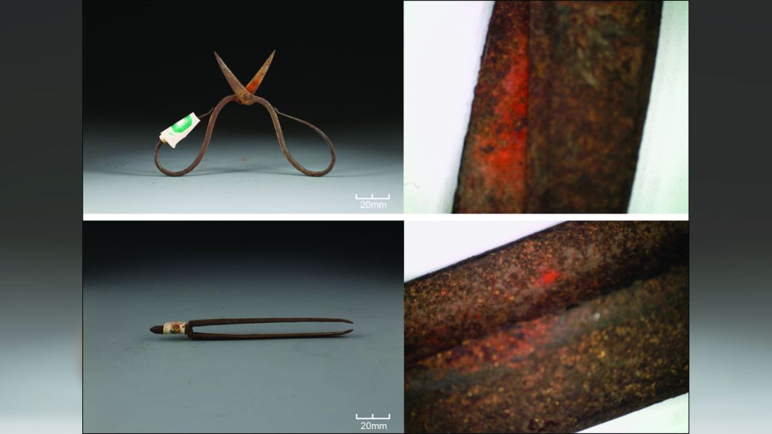  Toxic plant on Ming dynasty-era surgical tools may be world’s oldest chemical evidence of topical anesthetic 