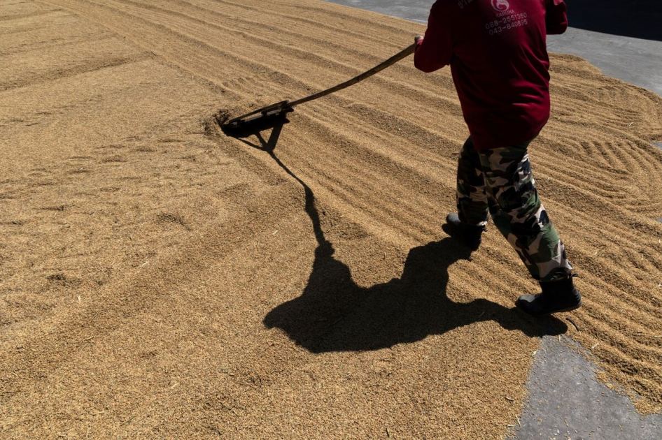 Philippines Seeks 30-Day Price Cap on Rice as Fuel Costs Surge