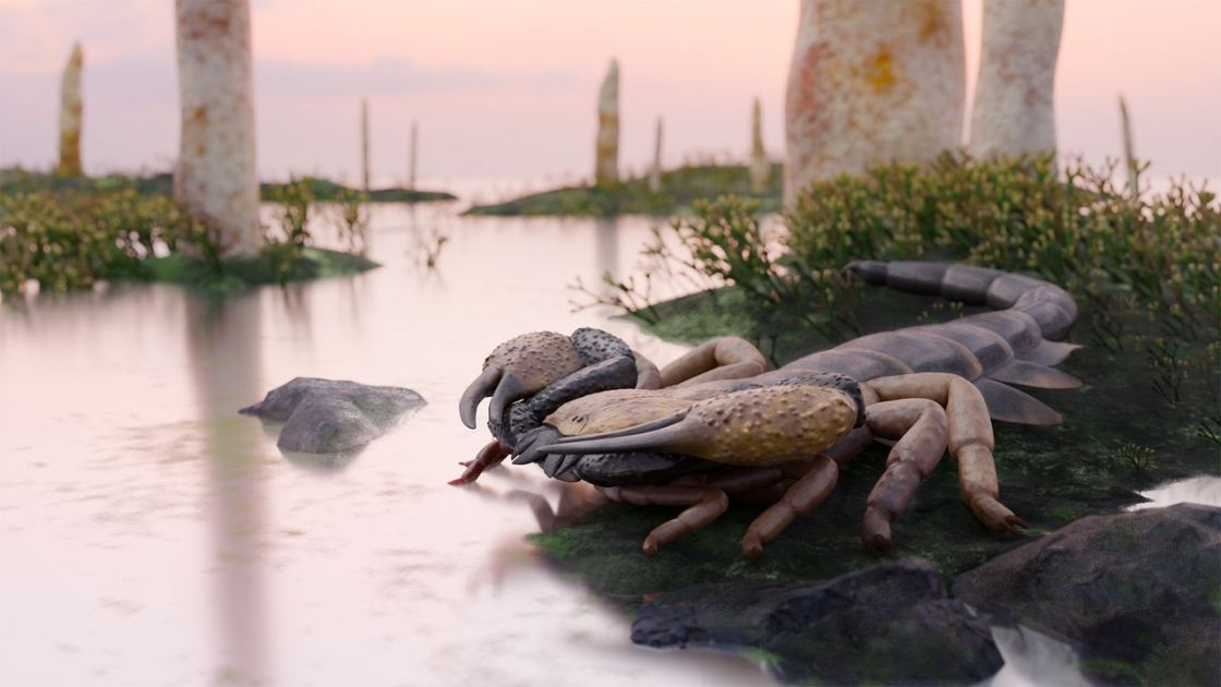  World's largest scorpion had 6-inch pincers, and prowled UK land and waters 415 million years ago 