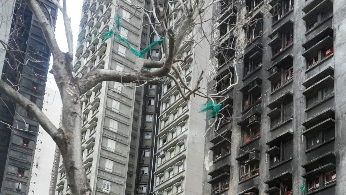 Errors in Hong Kong Tai Po blaze hearing transcript raise transparency concerns