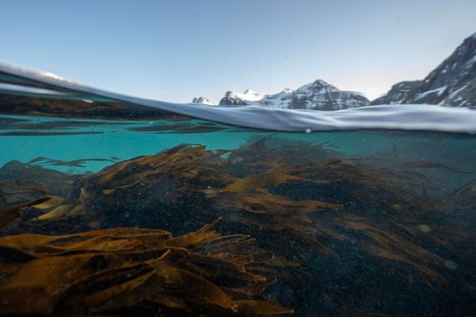 Just 10% Of World’s Oceans Designated For Conservation, Study Finds