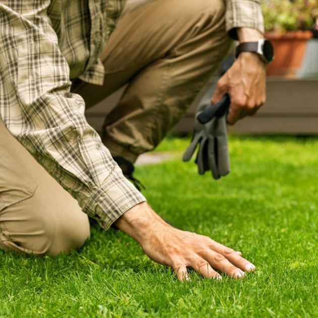  The Lawn Repair Buys To Order Now to Help Your Frazzled Grass Recover – Before Everyone Starts Fixing Their Grass In Fall 