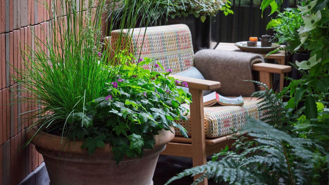  9 Clever Landscape-Designer Tricks to Brighten a Shady, North-Facing Garden that You Can DIY Yourself 