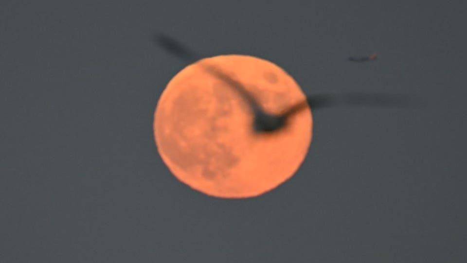 Don’t Miss The ‘Hunter’s Moon’ — Here’s The Best Time To See It