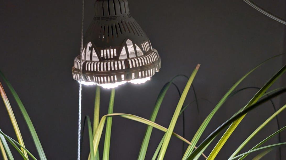 Here's All the Tech I Use to Help My Houseplants Thrive in Winter