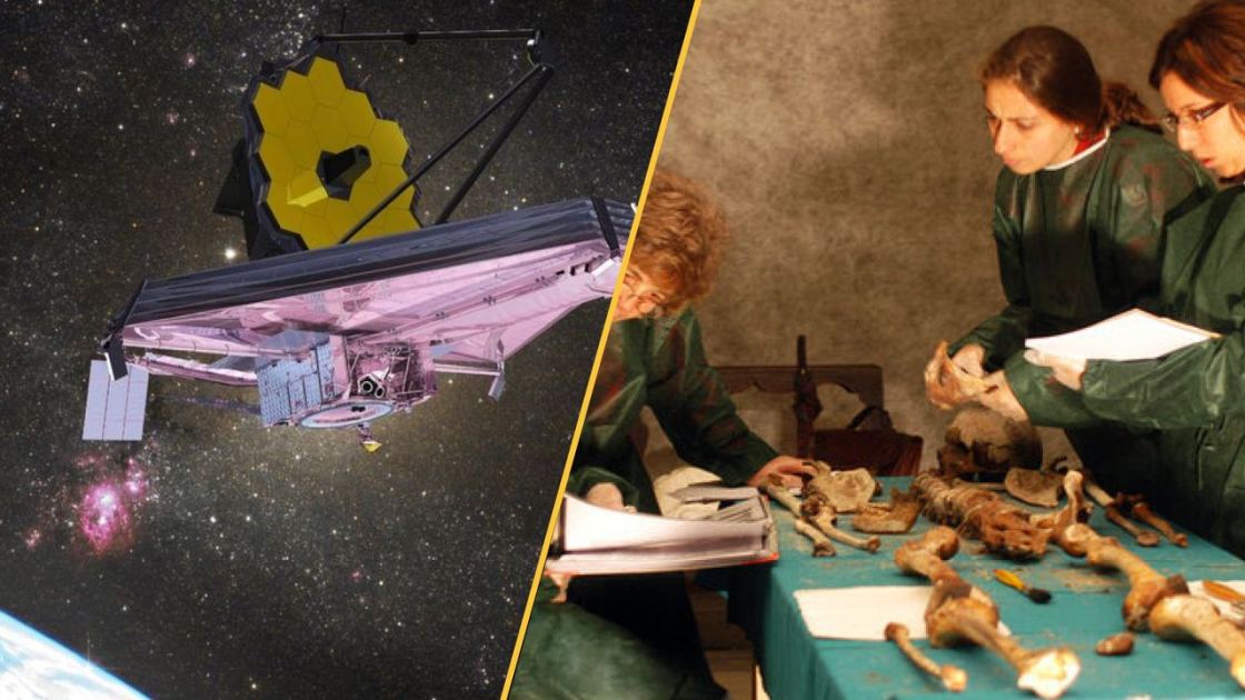  Science news this week: James Webb telescope finds a never-before-seen substance, China's 'Great Green Wall' grows faster than natural trees, and a Medici murder mystery is solved 