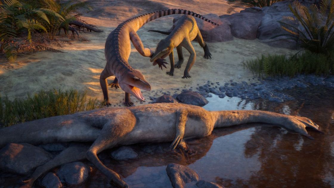  Triassic croc relative from Ghost Ranch, New Mexico finally identified after nearly 80 years in museum basement 