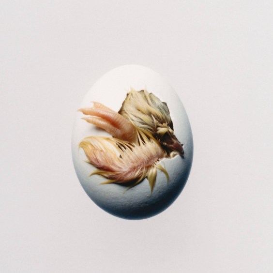 Shygirl Announces New Album Swallow!: Hear “Lucky (hymn)”