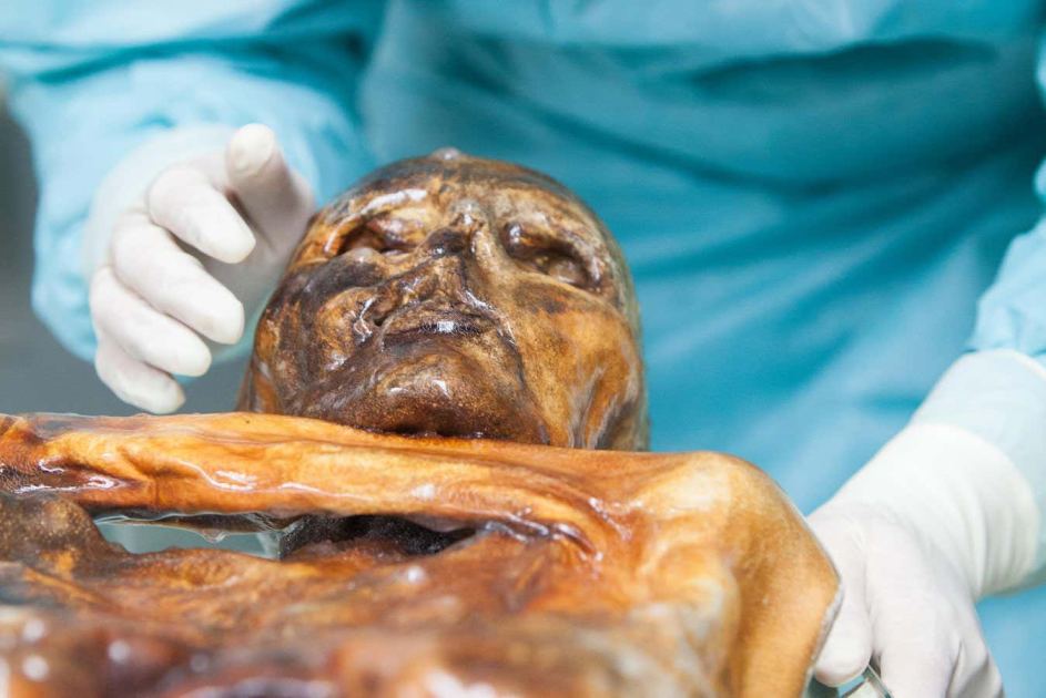 Ötzi's frozen remains may harbour metabolically active microbes