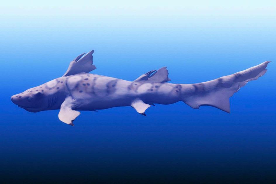 Top predators still prowled the seas after the biggest mass extinction