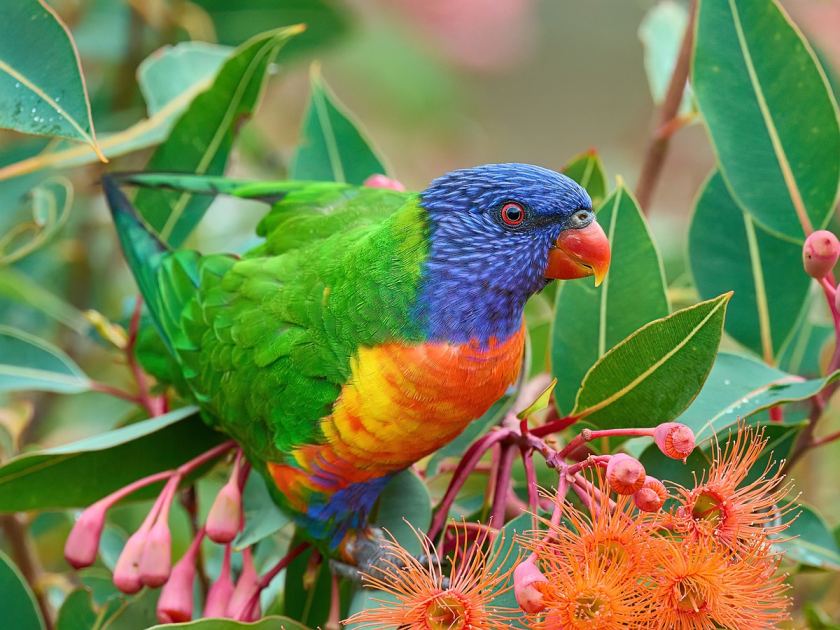 This photographer spent 45 years chasing birds – here's the gear he swears by