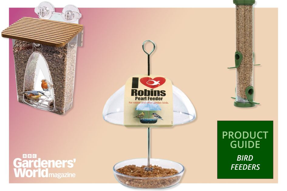 The best bird feeders for your garden in 2026
