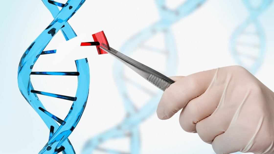 Cutting-edge Chinese gene-editing technique raises prospect of new autism treatments