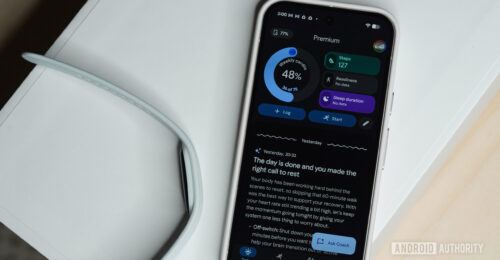 Early Google Fitbit Air deliveries hit a snag with missing Android app update