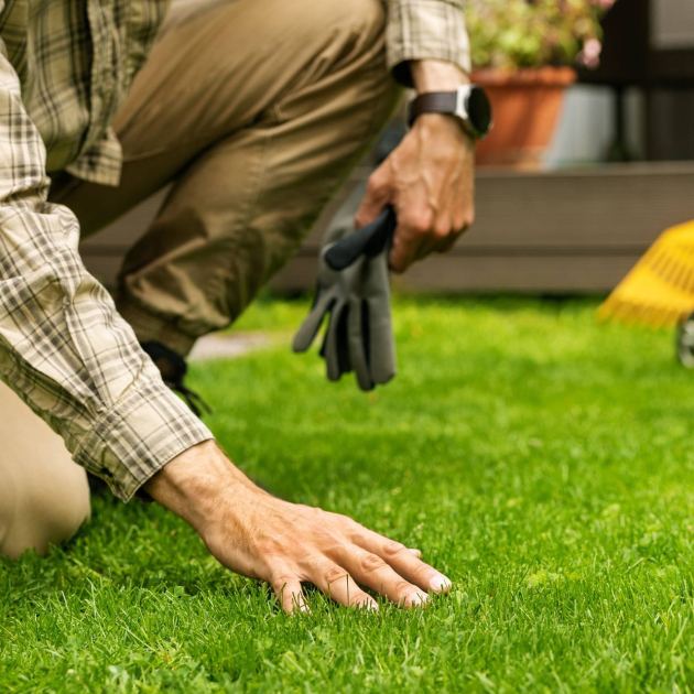  5 Things You Can Do in June to Prepare Your Lawn for the Summer Heat – Plus 5 Things You Definitely Shouldn't Do 