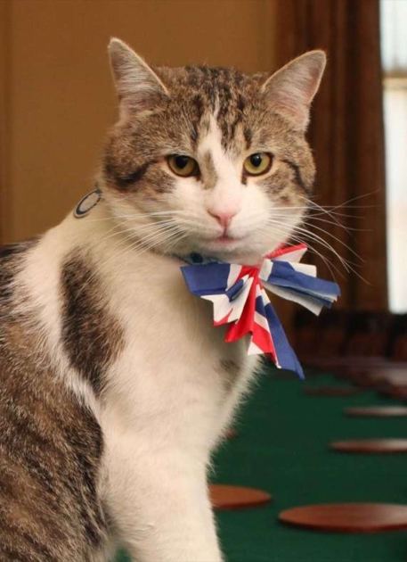 The British government has kept a cat on the payroll since 1929