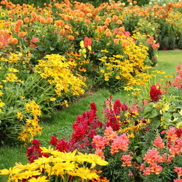  7 Garden Rules You Can Safely Break Once Mid-August Hits 
