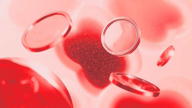 RaveDAO team denies role in RAVE token pump as Binance, Bitget open investigations