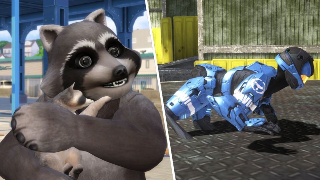  Jimothy, a particularly round raccoon and the internet's latest sensation, has now broken into games 