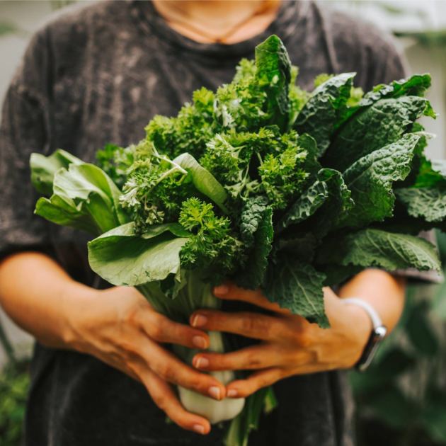  Gardening Season's Not Over! Plant These 7 Vegetables in September for Harvests This Fall and Next Spring 