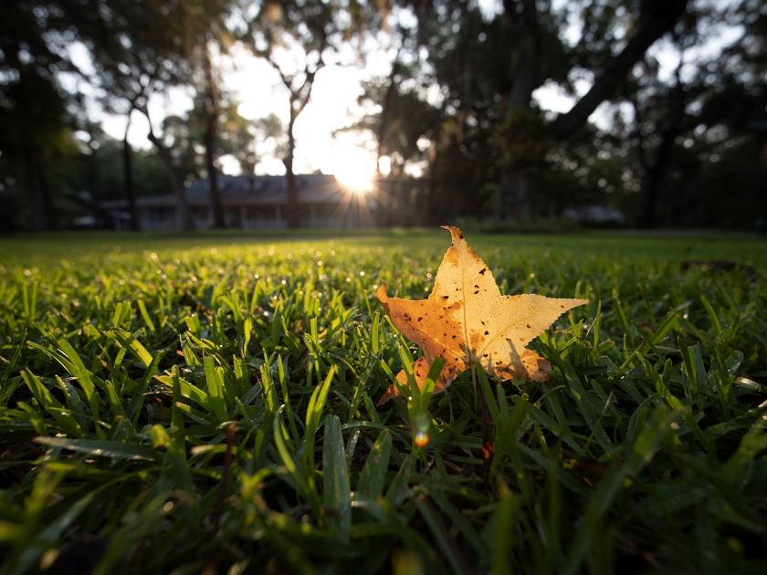 Ultrawide reach in a surprisingly small package: LK Samyang 14-24mm F2.8 sample gallery