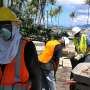 Temporary protective status workers play critical role in state economy, view US as home, research suggests