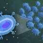 Q&A: Tiny spores for a big critical minerals challenge