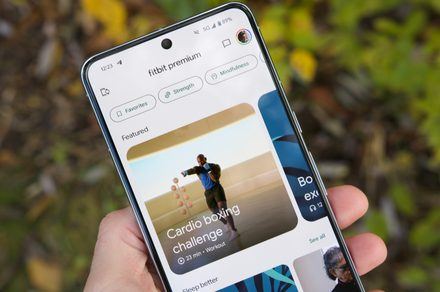 Fitbit’s latest update turns your app into a conversational personal trainer