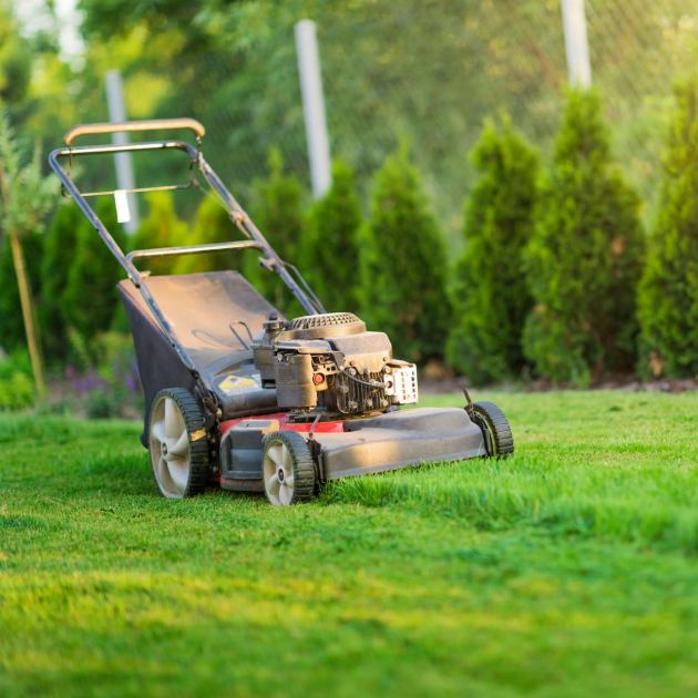  The Best Lawn Mowing Height for Every Season – to Keep Your Grass Lush All Year Long 