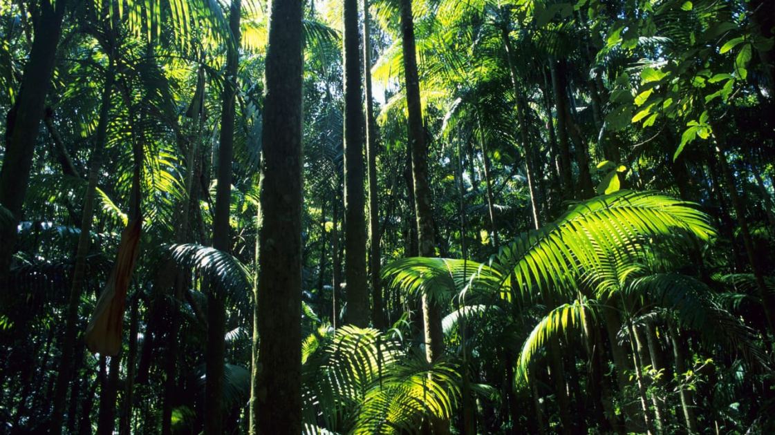 Tropic Trooper APT Takes Aim at Home Routers, Japanese Targets