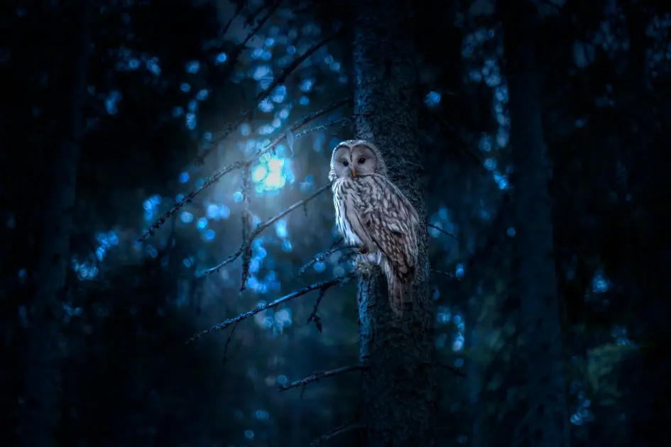 Here’s What Happens to Night Owls at Work, According to Science