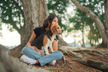 Petition: Let Families in Brazil Be Buried With Their Pets