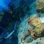 World's oldest shipwreck discovered off coast of Turkey