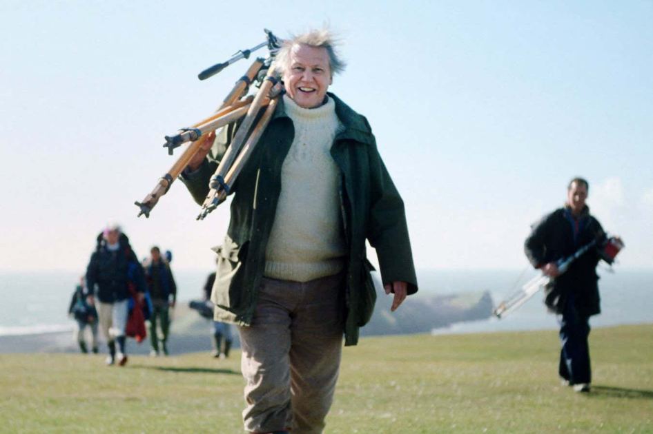David Attenborough is one of a kind, for better or worse