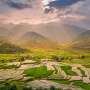 Global rice production has nearly doubled over 50 years despite climate change