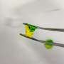 Hydrogel platform uses vitamin B2 and blue light to simplify living tissue models