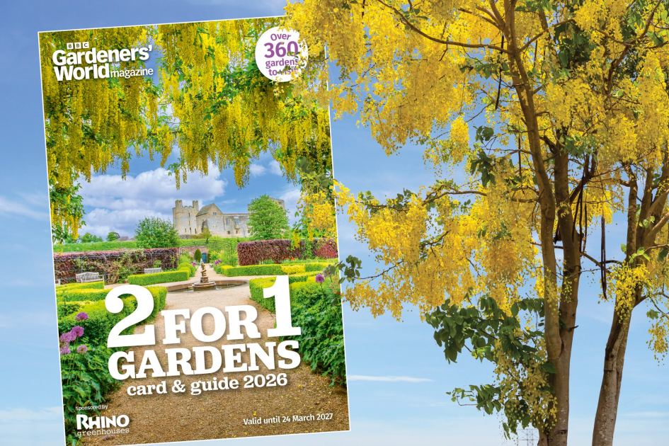 Amersham Museum 2-for-1 Entry