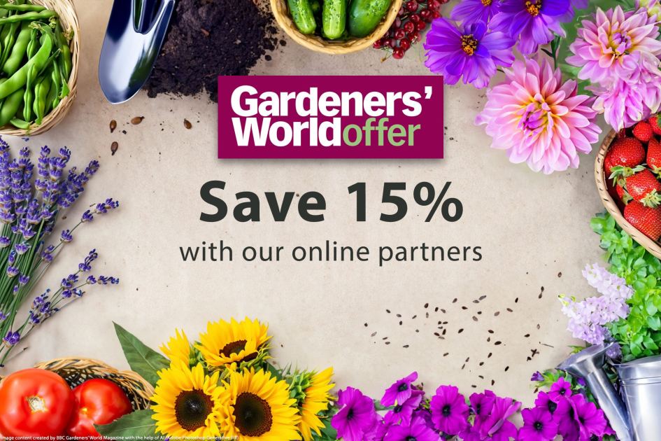 Save 15% on your spring essentials