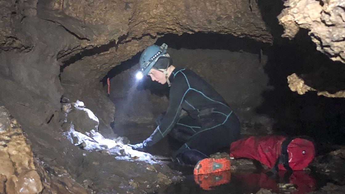 'It blew my mind': Long-lost ice-age ecosystem, including fossils of lion-size armadillo and giant ground sloth, discovered in Texas 'water cave' 