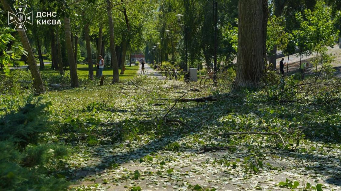 Повітряні сили: За день росіяни атакували вже 224 дронами, переважно в бік Києва
