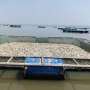 New sensors capture warning signs before fish deaths in Lake Victoria