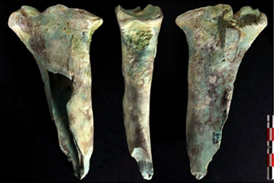 Bronze Age Britons fashioned copper-mining tools out of old bones