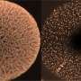 Carbon nanostructure improves fuel-cell catalyst durability while reducing platinum use