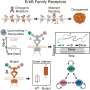 Glowing nanoparticles exposed hidden cancer-protein behavior that could reshape drug screening